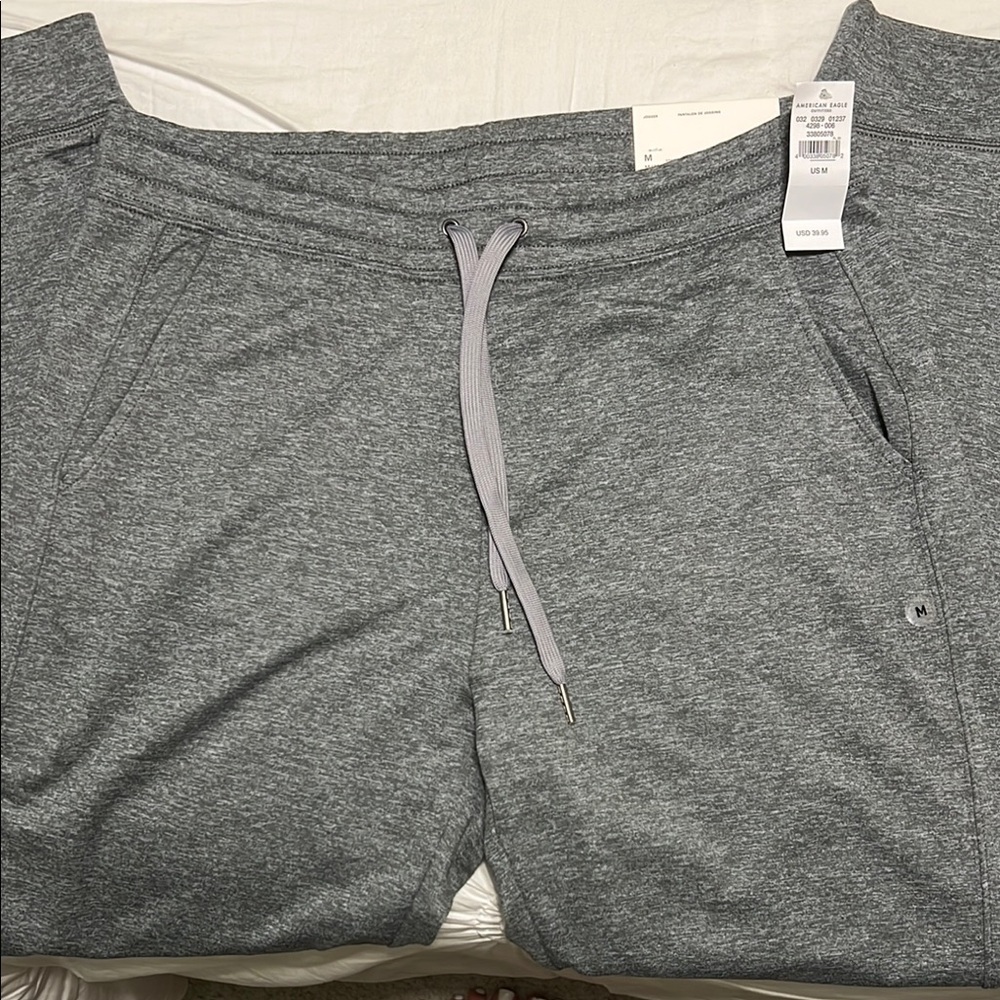 American Eagle Outfitters Gray Joggers with Elastic Waistband